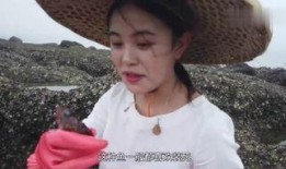 表妹2017在线观看完整,表妹在线观看全记录